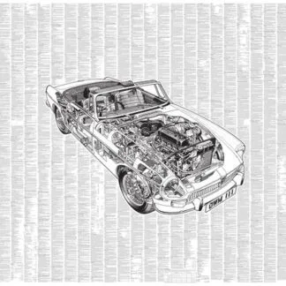 5604 - HAYNES MANUAL MGB SPINELESS CLASSIC