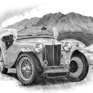 MG TC PRINT - MG TC
